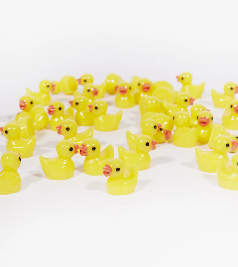 100 petits canards - Image 3