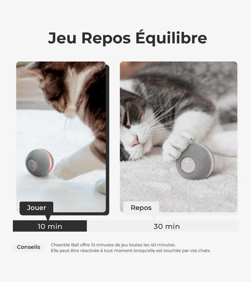 Balle interactive pour chats - Image 6