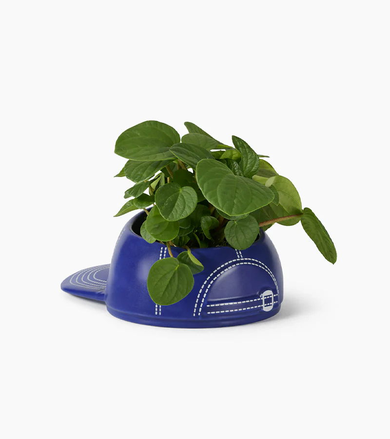 Bol multifonctions casquette de baseball - Image 3