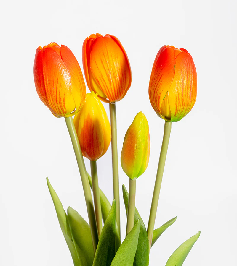 Bouquet de tulipes réalistes - Image 5