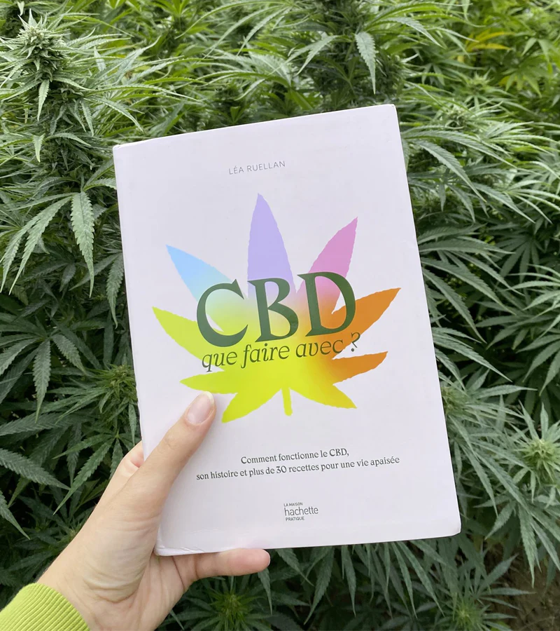 CBD que faire avec ? - Image 3