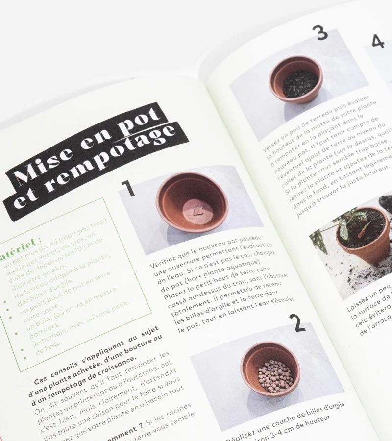 Comment ne pas faire crever ses plantes - Image 2