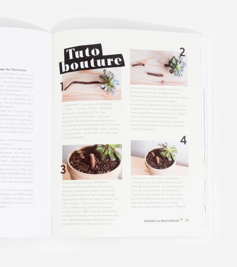 Comment ne pas faire crever ses plantes - Image 3