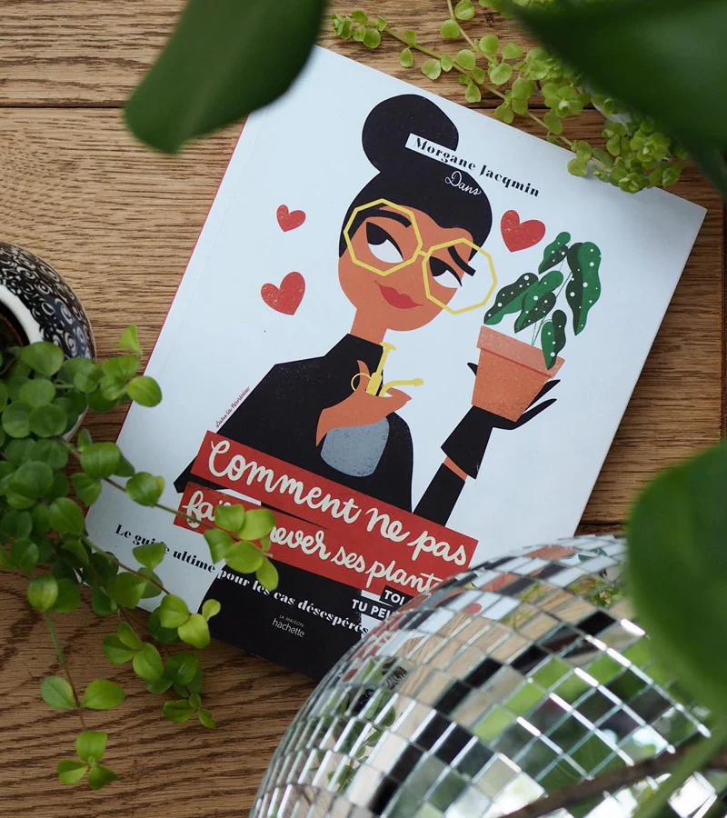 Comment ne pas faire crever ses plantes - Image 5
