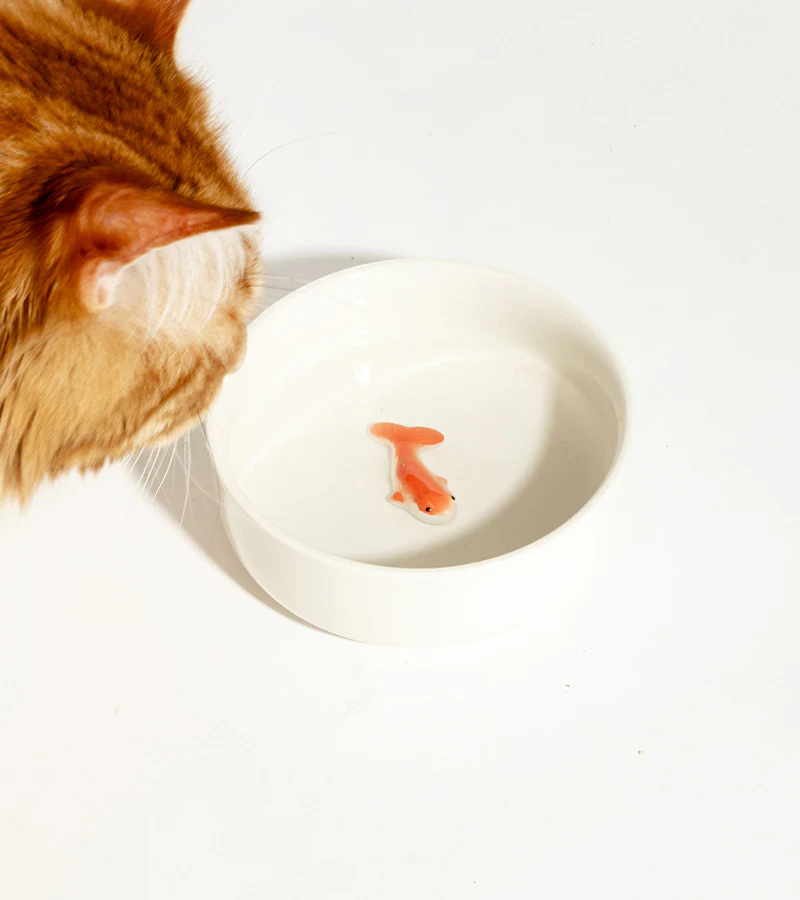 Gamelle leurre poisson pour chats - Image 3