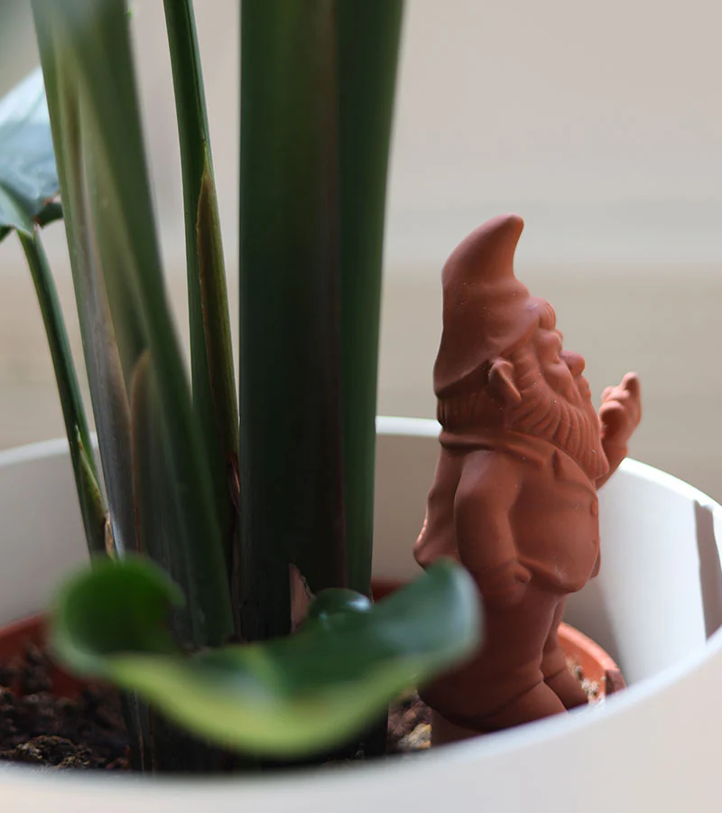 Gnome Terracotta irrigateur de plantes - Image 4