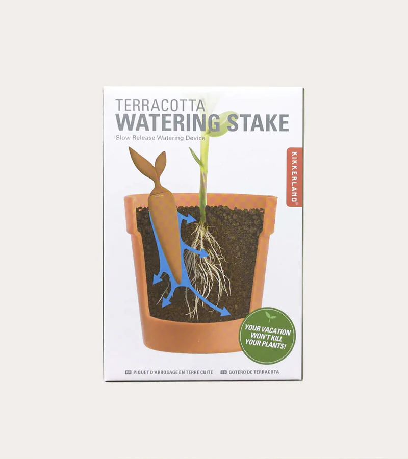 Irrigateur en terre cuite - Image 2
