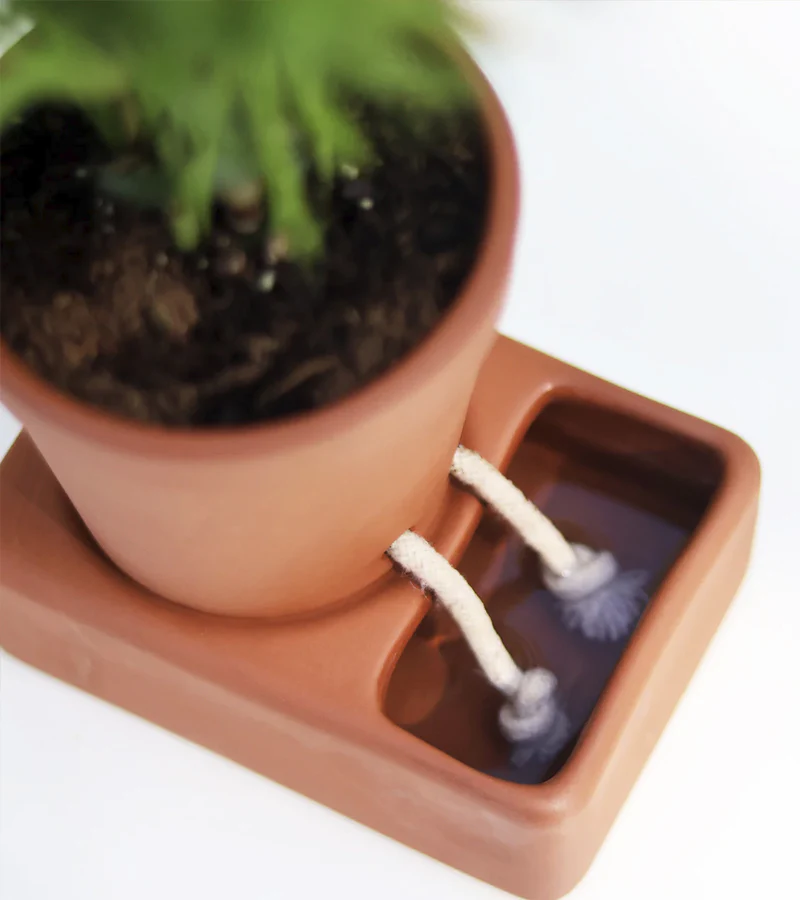 Jardinière autonome en eau - Image 2