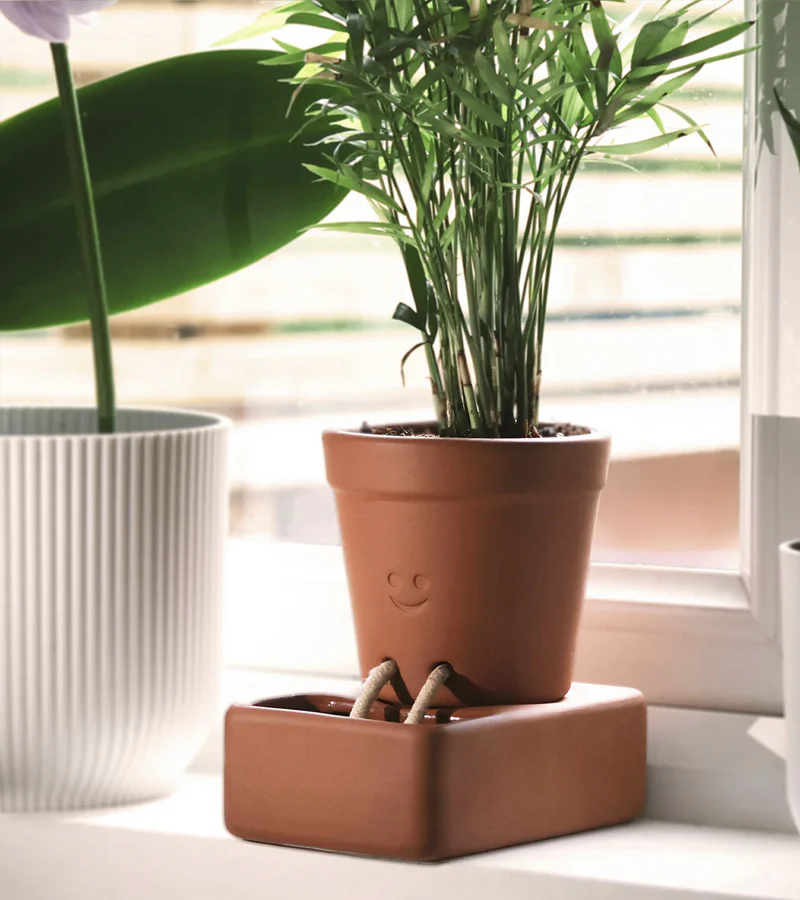 Jardinière autonome en eau - Image 4