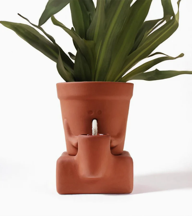Jardinière autonome qui a soif - Image 2