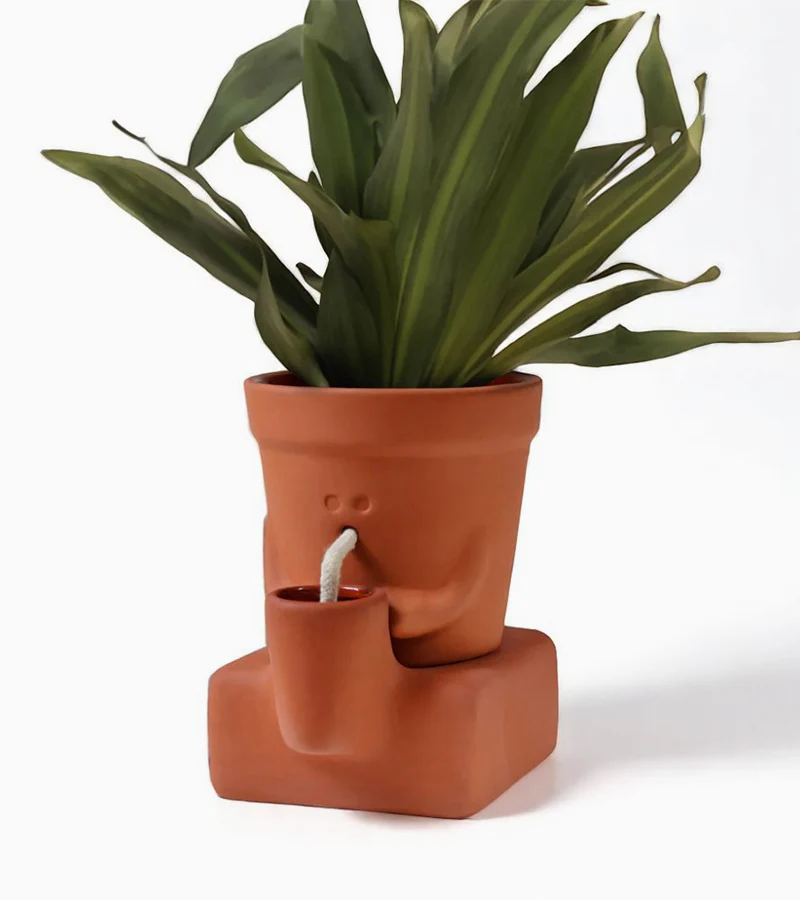 Jardinière autonome qui a soif - Image 3