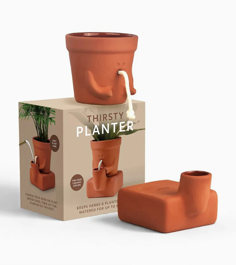 Jardinière autonome qui a soif - Image 4