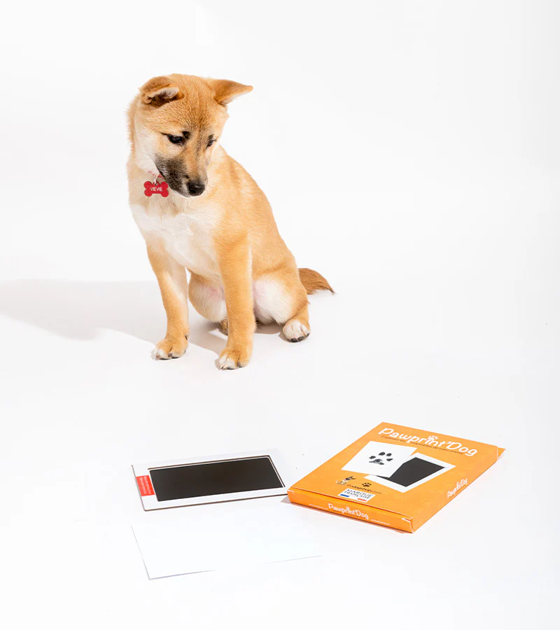 Kit d'empreintes pour chiens et chats - Image 3