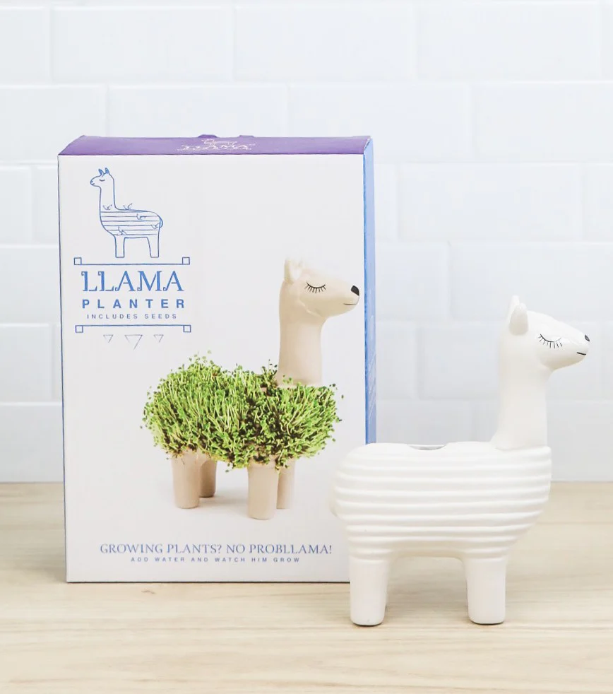 Lama à faire pousser - Image 4