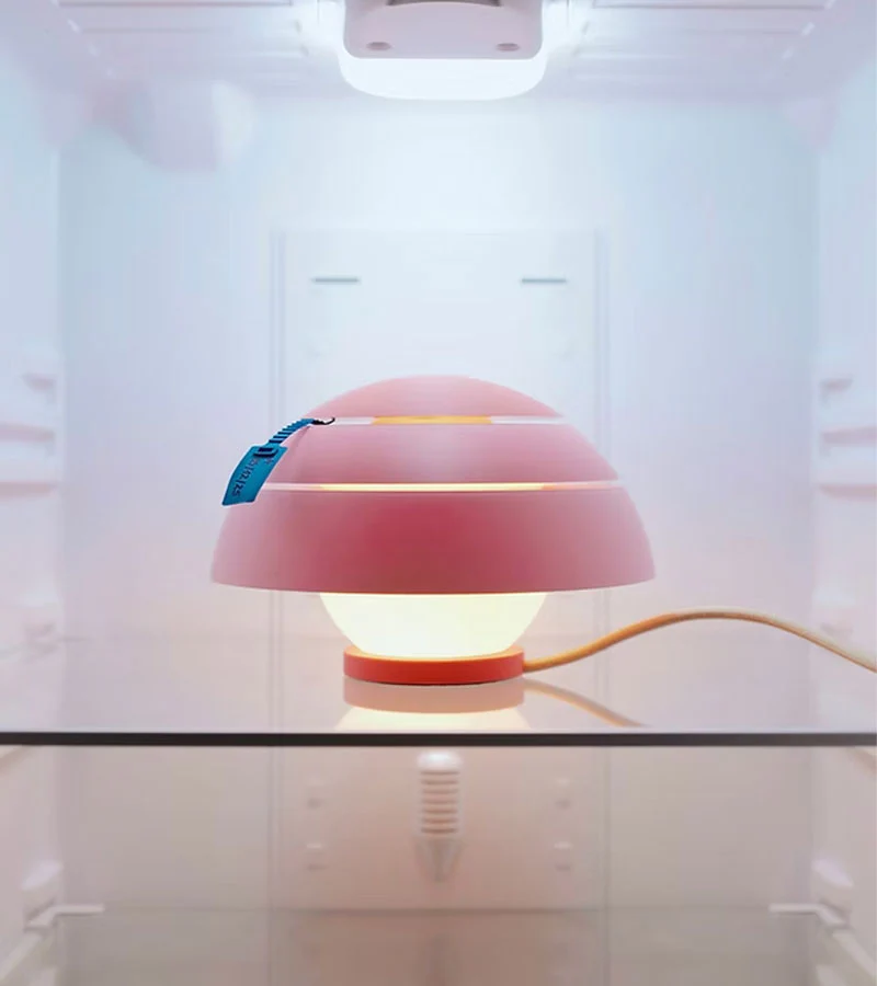Lampe Guinda - Image 2