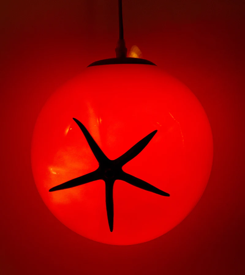 Lampe tomate - Image 2