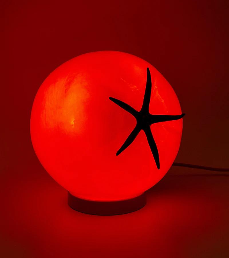 Lampe tomate - Image 3
