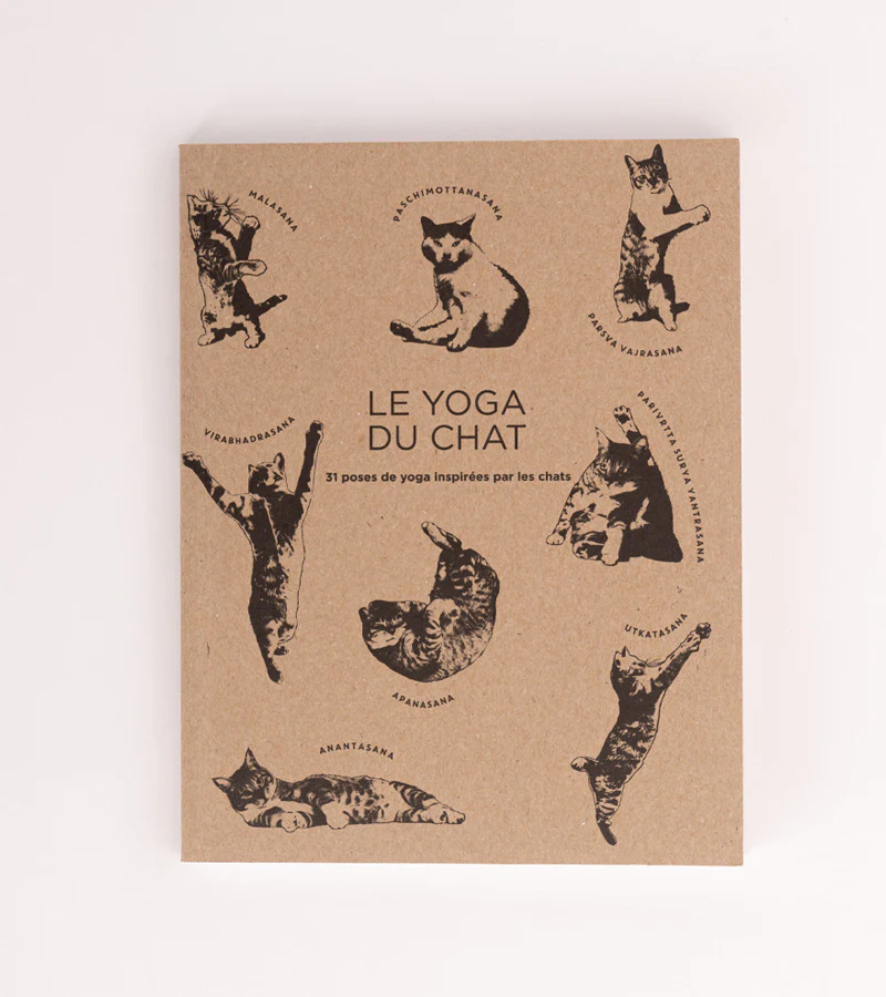 Le Yoga du Chat - Image 3