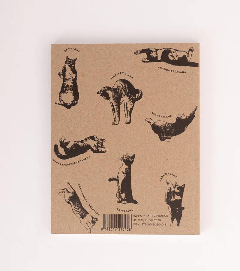 Le Yoga du Chat - Image 4