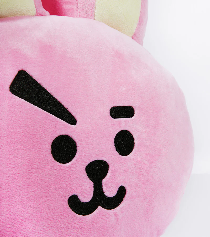Les peluches-coussin BT21 - Image 12