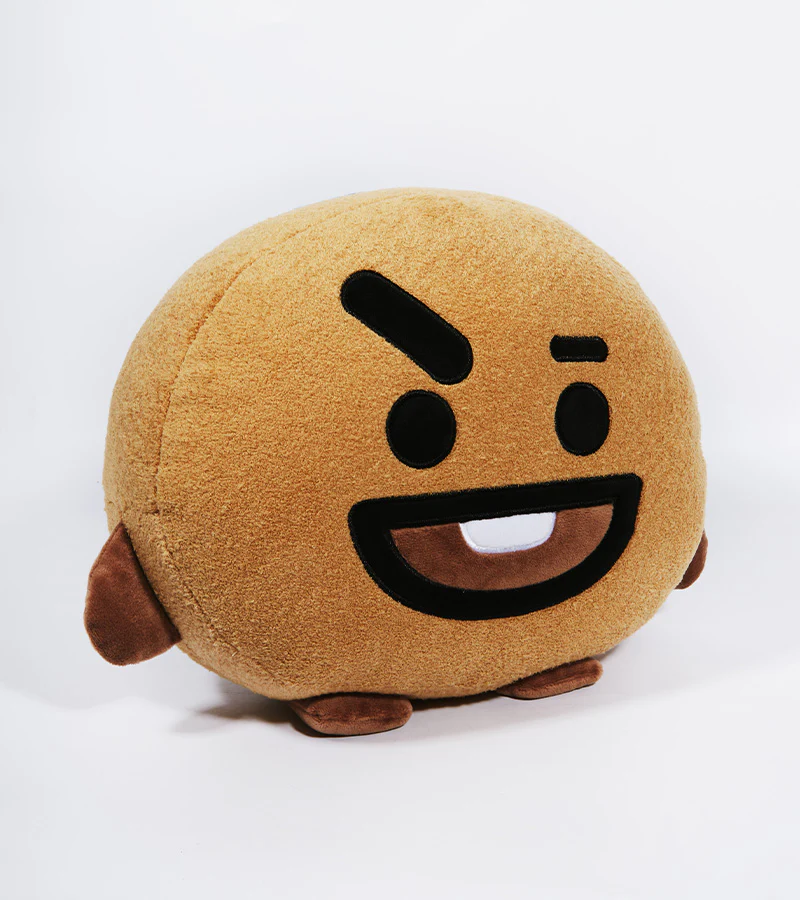 Les peluches-coussin BT21 - Image 15