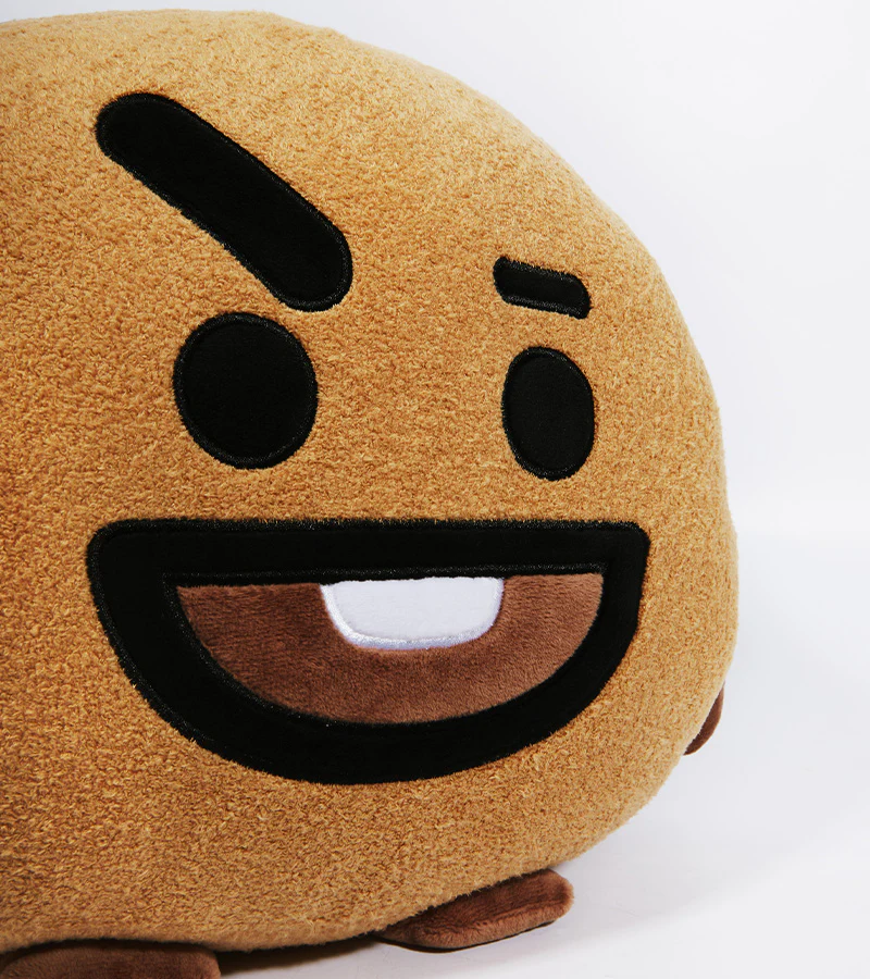 Les peluches-coussin BT21 - Image 16