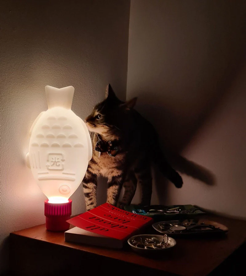 Light Soy, Lampe Portable - Image 5