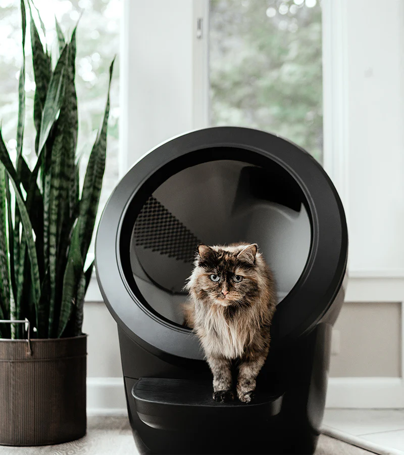 Litière autonettoyante - Litter-Robot 4 - Image 3