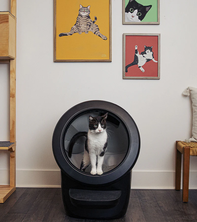 Litière autonettoyante - Litter-Robot 4 - Image 4