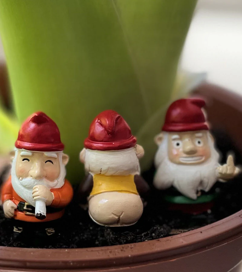 Mini gnomes de jardin effrontés - Image 2