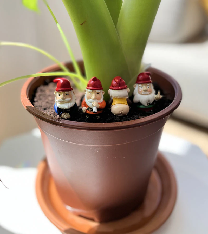 Mini gnomes de jardin effrontés - Image 3