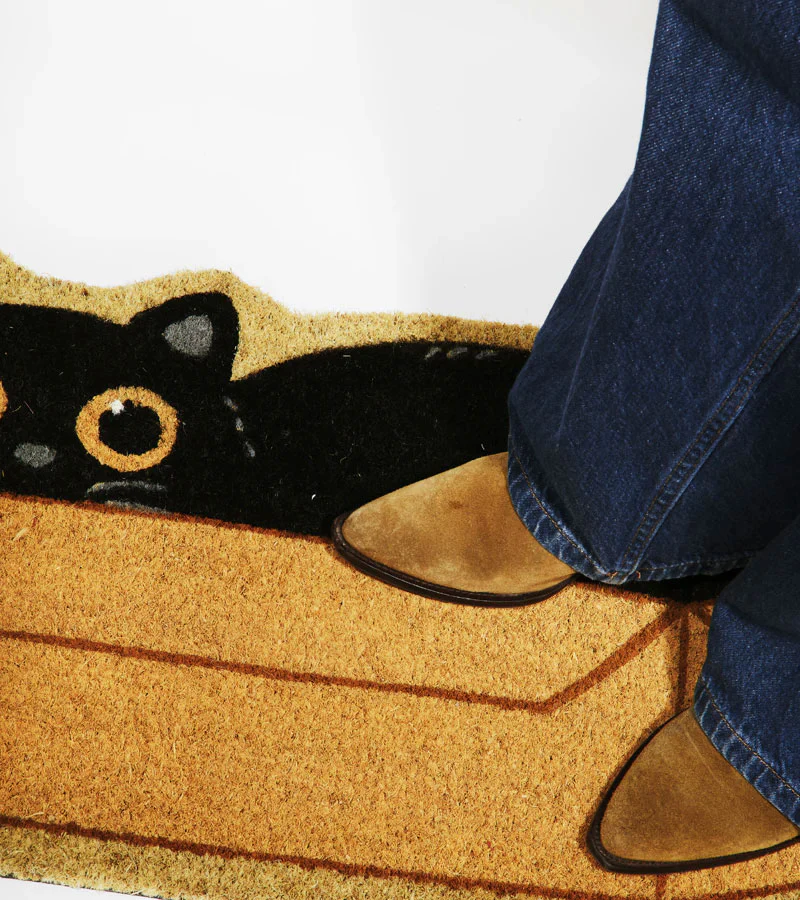Paillasson Chat caché - Image 3
