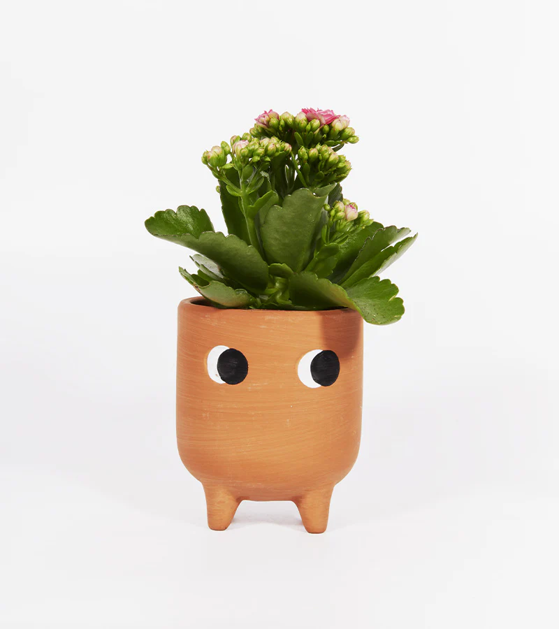 Petit cache-pot en terre cuite - Image 6
