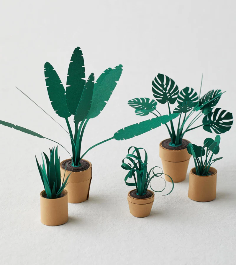 Plantes en papier DIY - Image 2