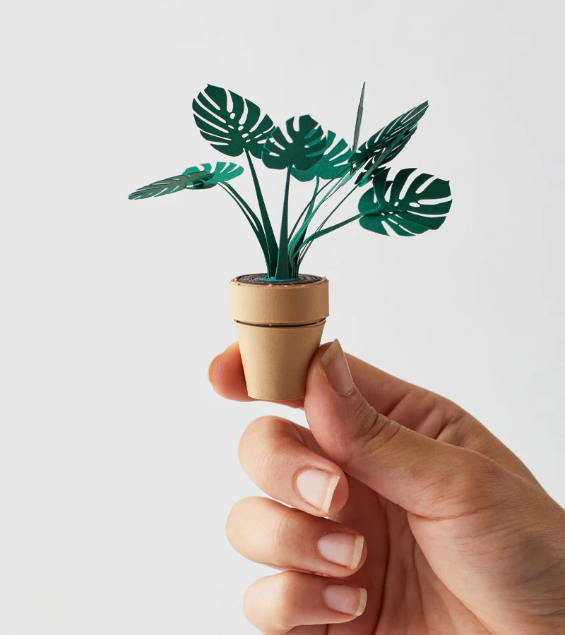 Plantes en papier DIY - Image 5