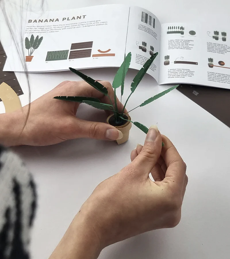Plantes en papier DIY - Image 7