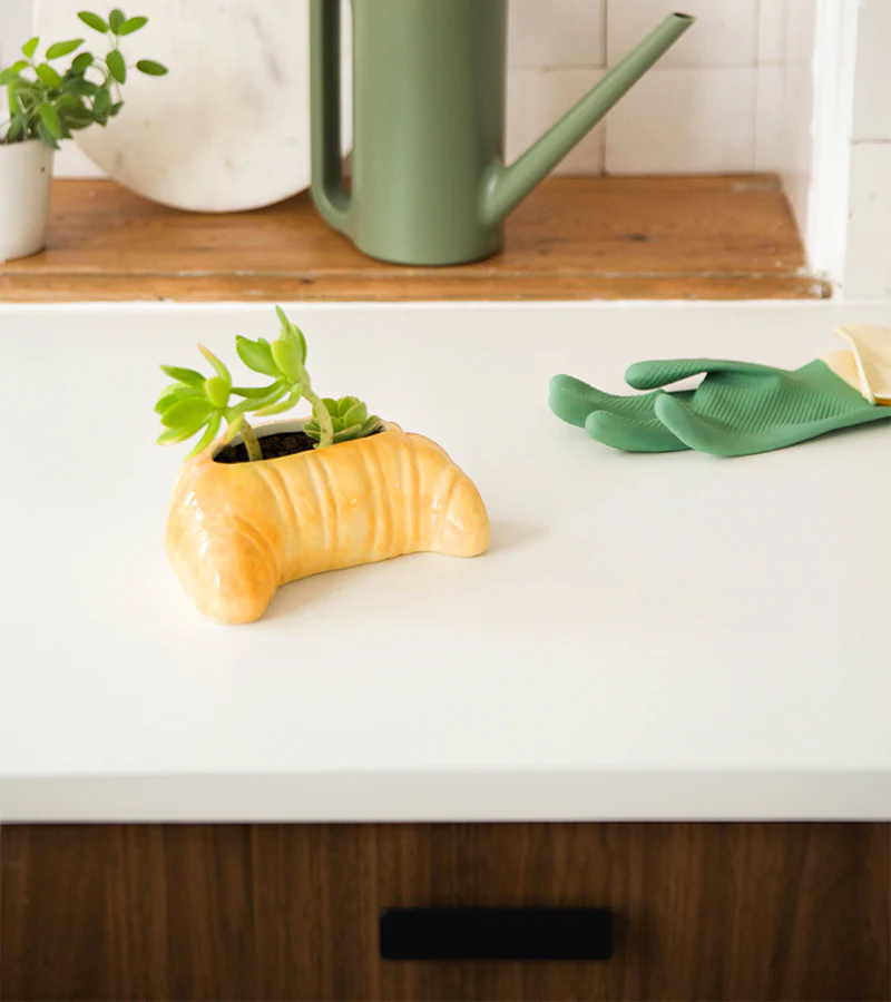 Pot à plante croissant - Image 2