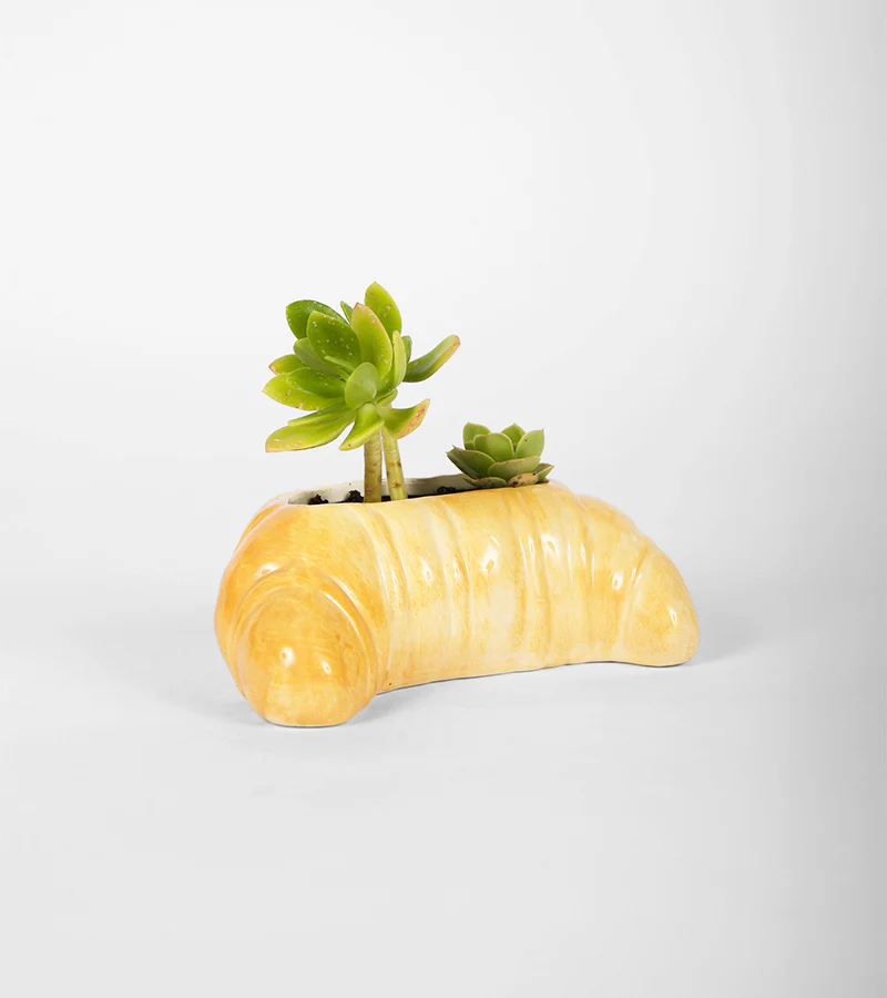 Pot à plante croissant - Image 5