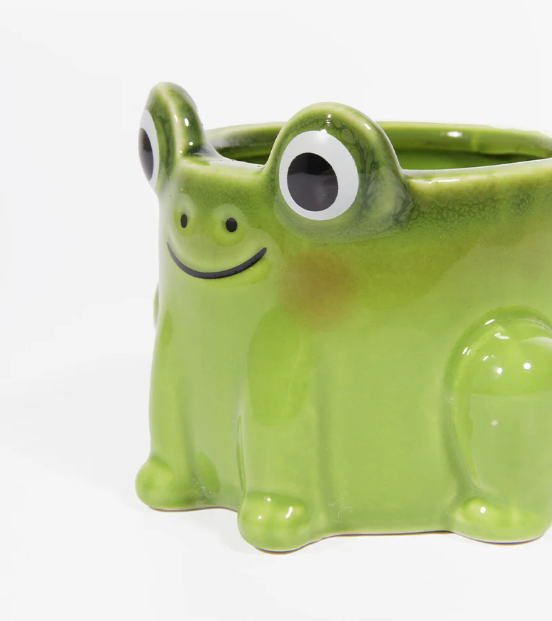 Pot à plante grenouille - Image 2