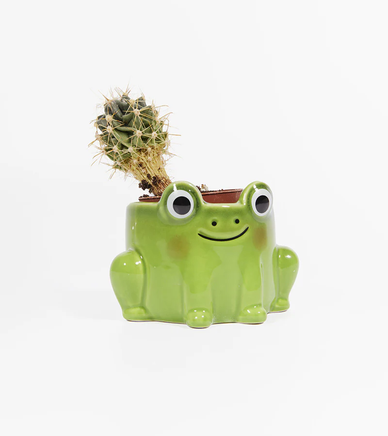 Pot à plante grenouille - Image 3