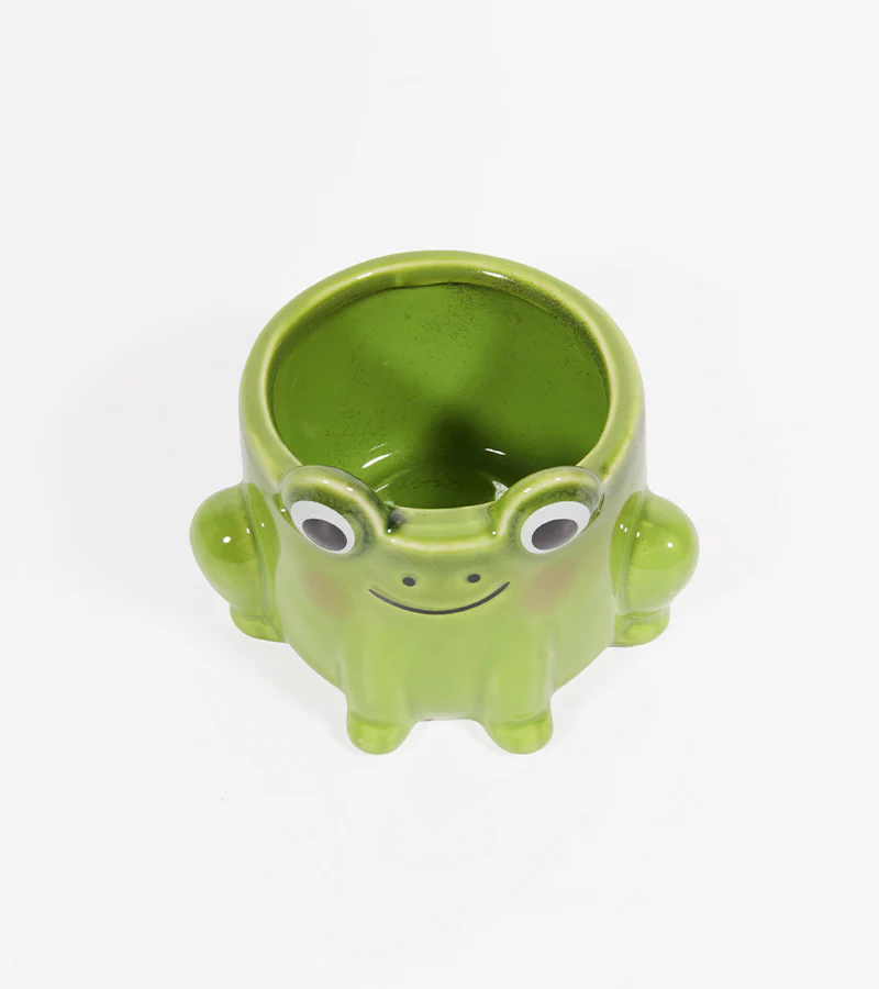 Pot à plante grenouille - Image 4