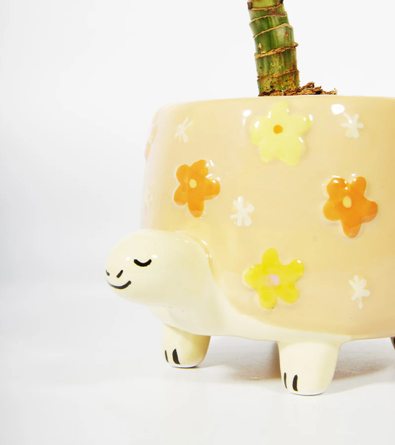 Pot à plantes tortue - Image 4
