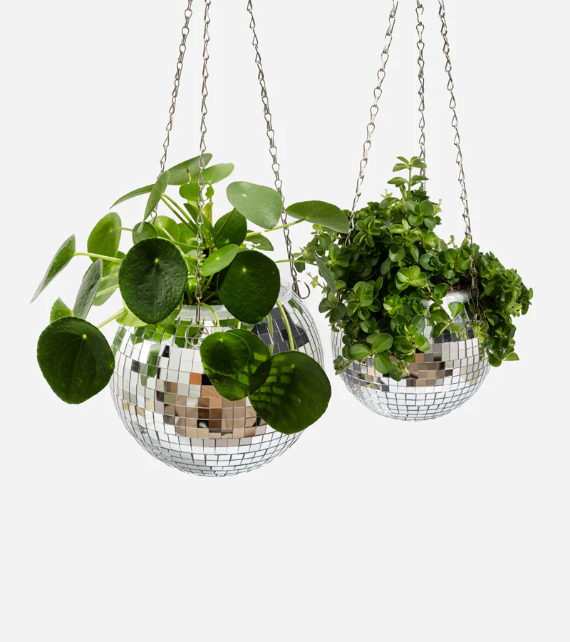 Pot de plantes disco boule à facettes - Image 4