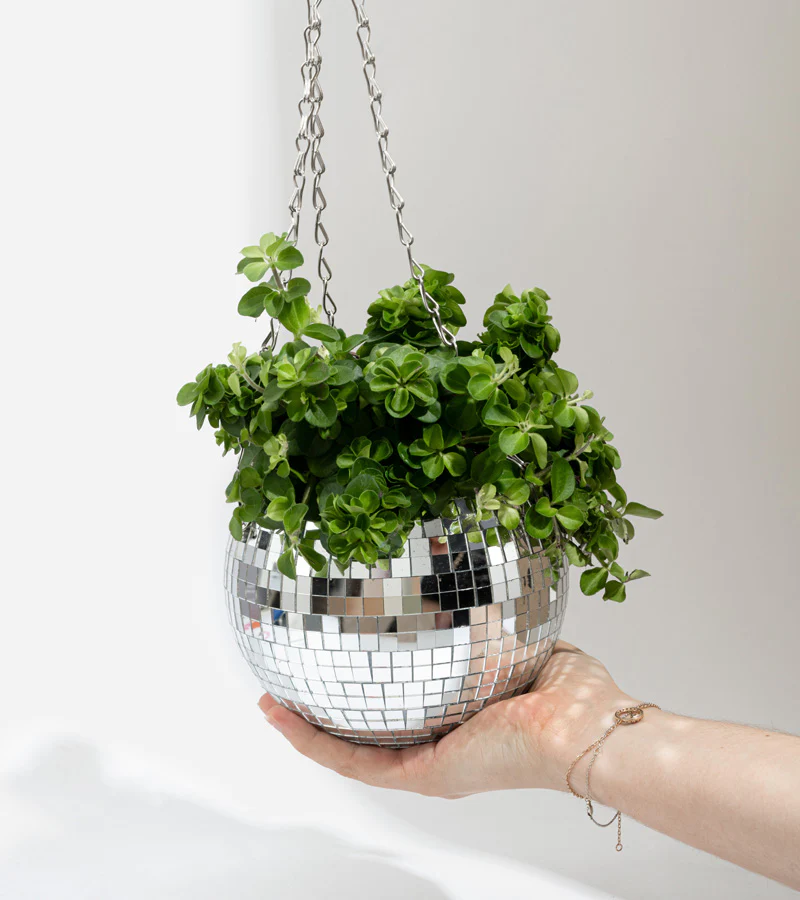 Pot de plantes disco boule à facettes - Image 5