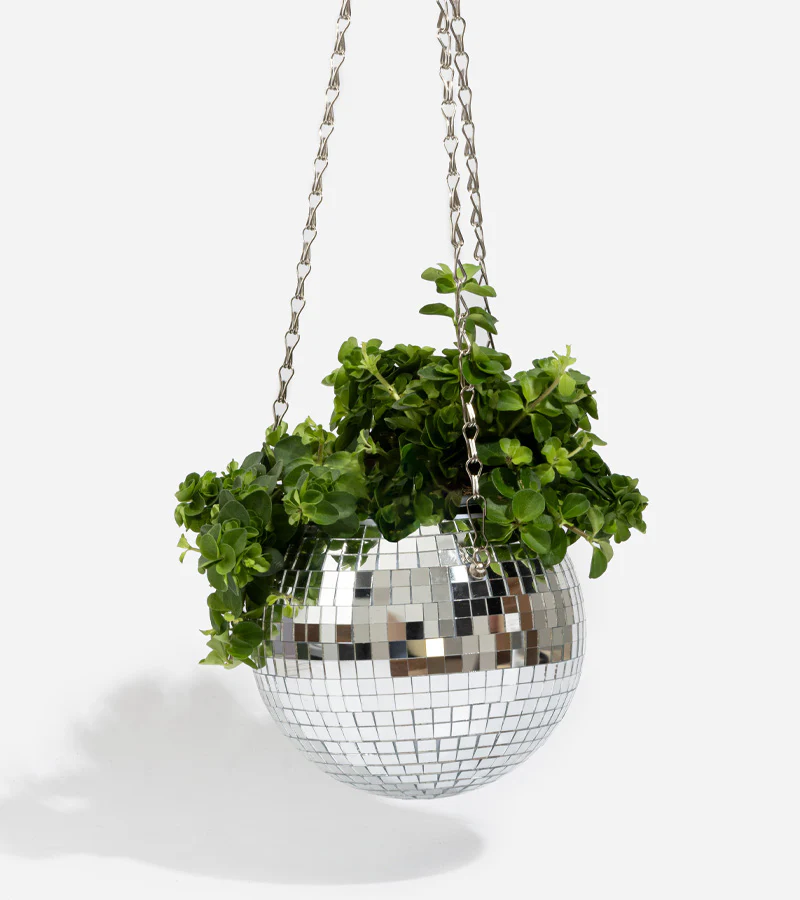 Pot de plantes disco boule à facettes - Image 7