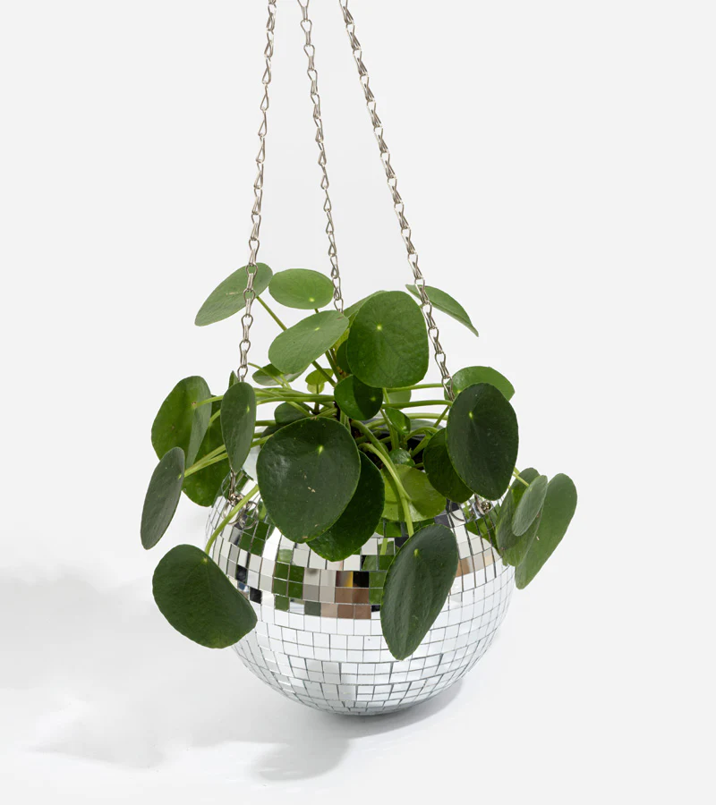 Pot de plantes disco boule à facettes - Image 8