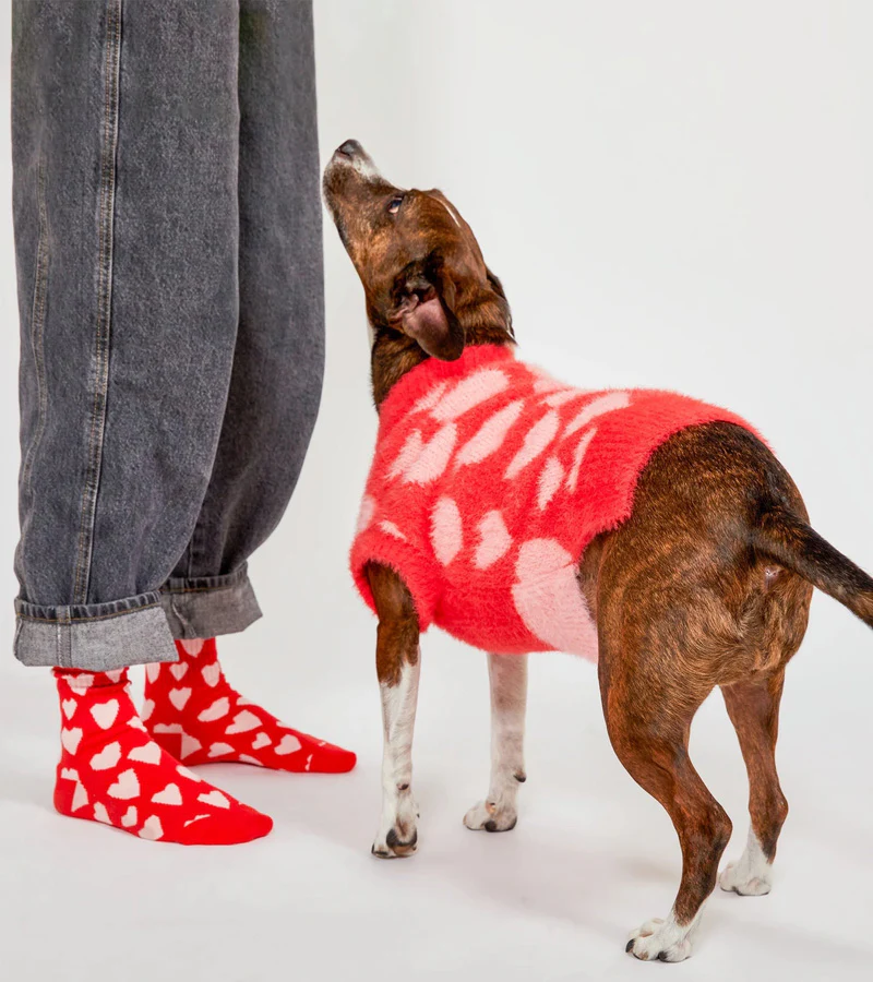 Pull coeurs pour animaux - Image 2