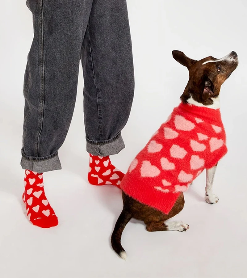 Pull coeurs pour animaux - Image 3