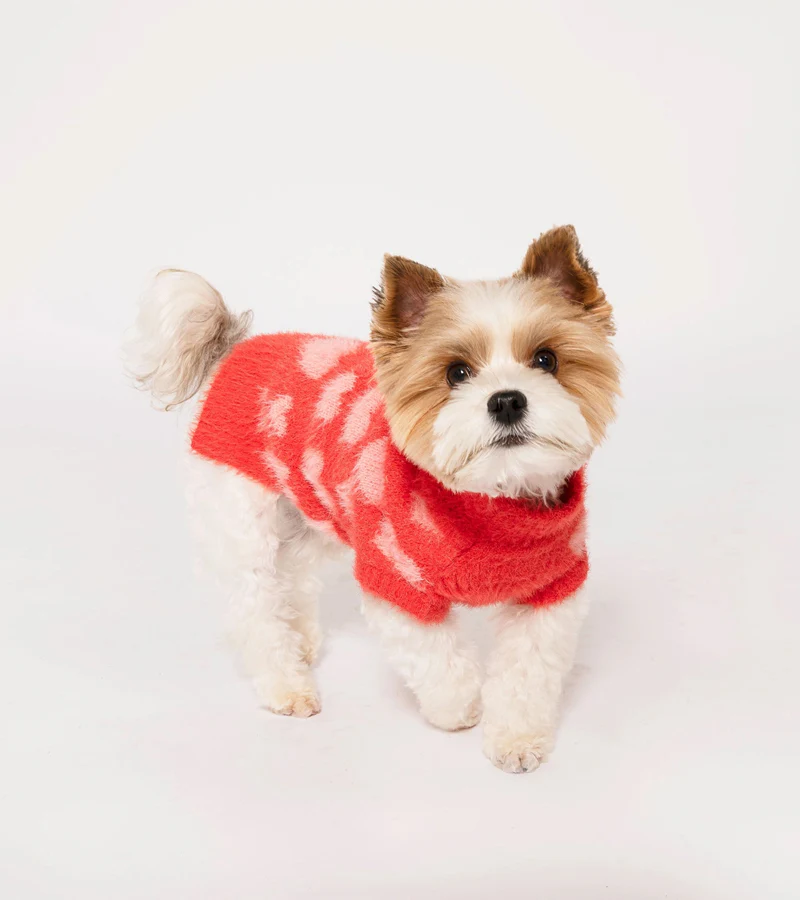 Pull coeurs pour animaux - Image 4