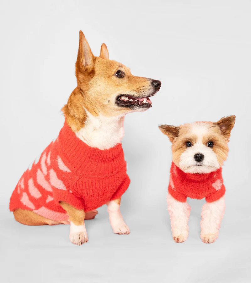 Pull coeurs pour animaux - Image 5